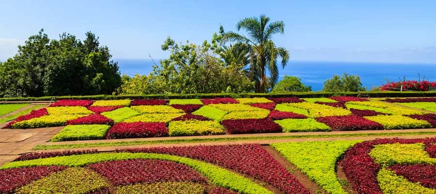 Tropical Botanical Gardens on your Europe cruise