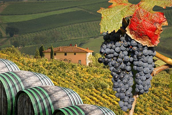 Tuscany Vineyard on your cruise