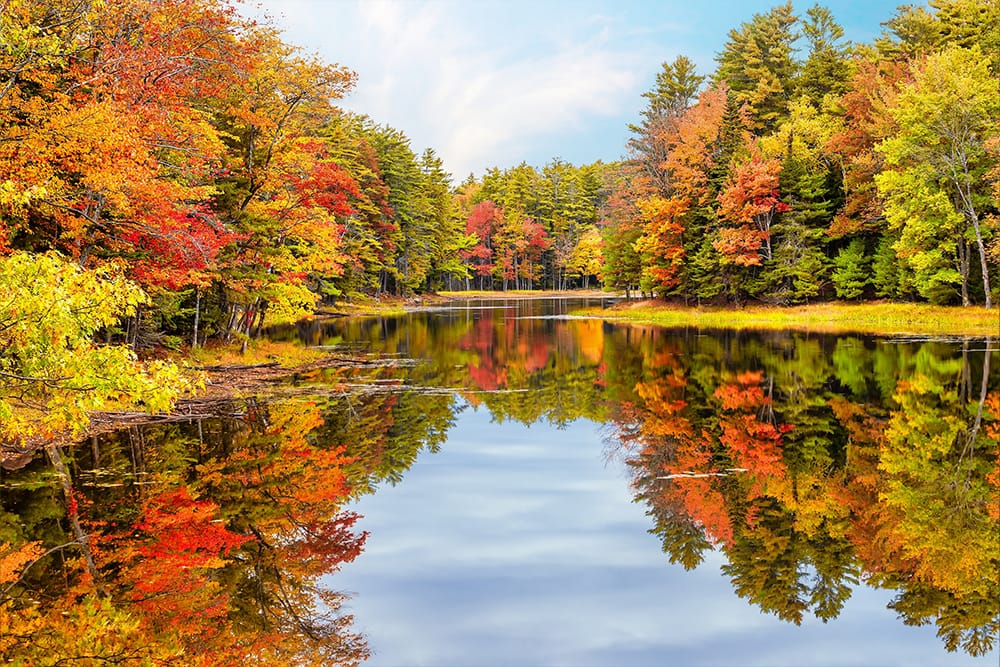 Fall Foliage Cruises Best Cruises For Leaf Peeping Blogue de voyage NCL