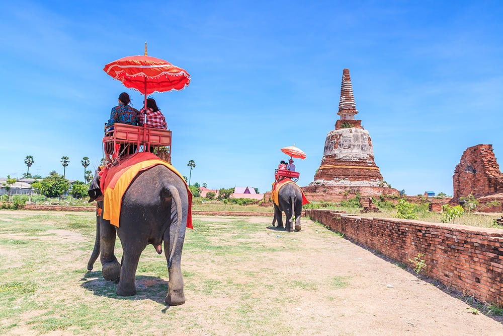 Elephant ride in Ayutthaya, Thailand