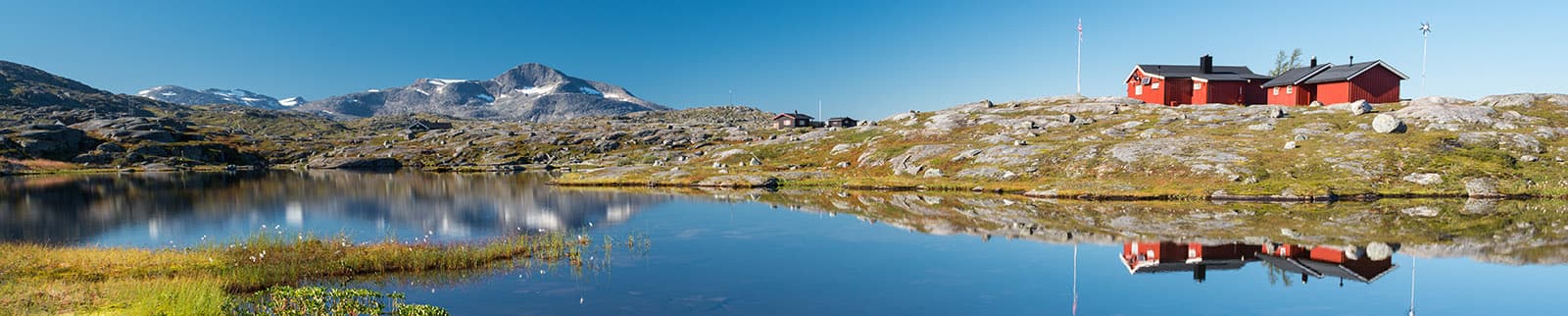 narvik cruise port schedule