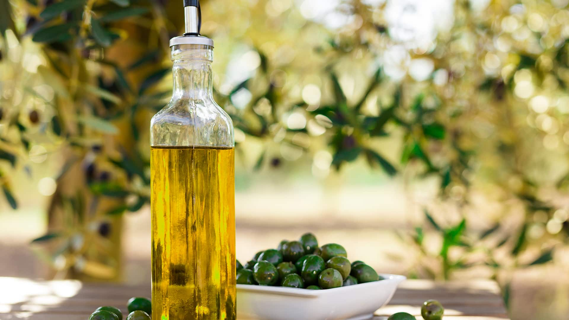 Go Green-Biodiversity Protection in Olive Oil Farm 