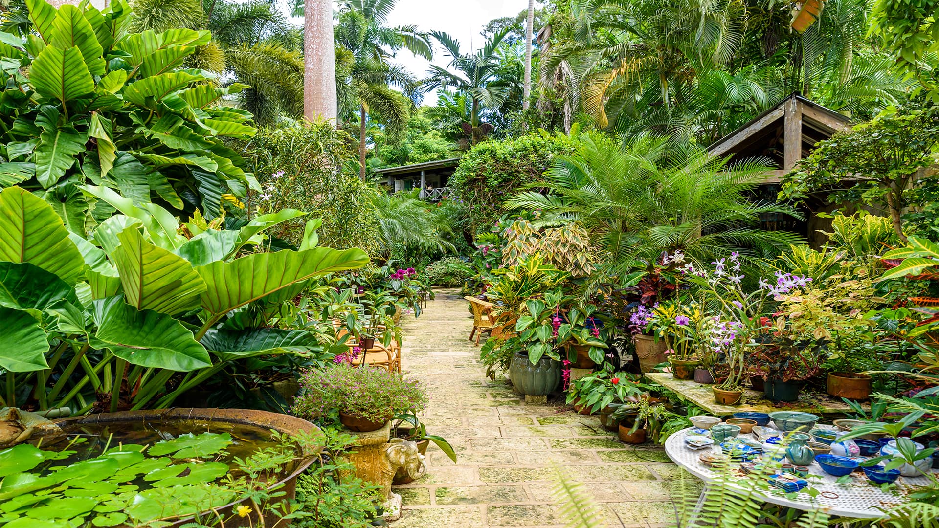 Earth Blooms Bridgetown