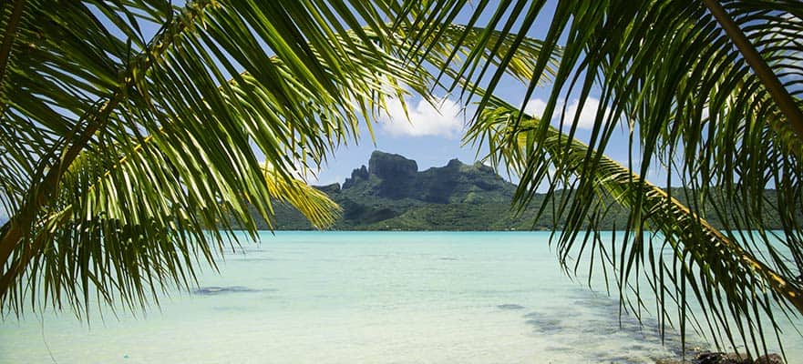 10 day south pacific cruise