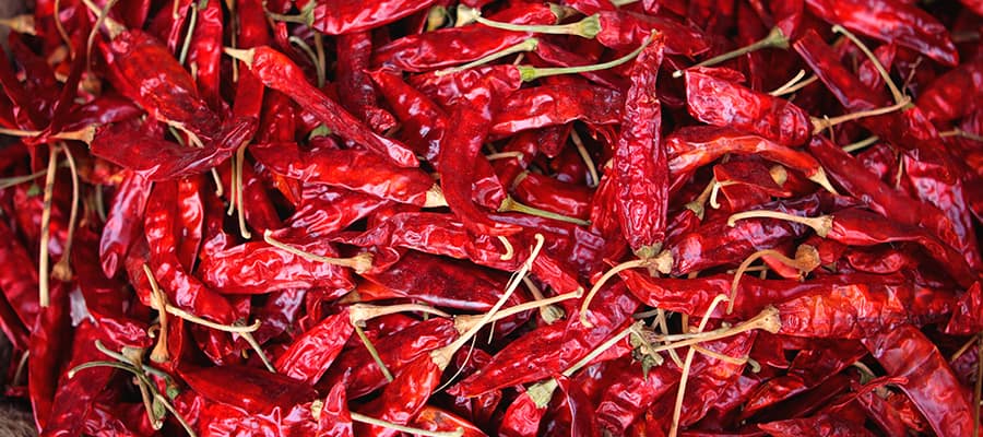 Chili Peppers on your Cochin Cruises