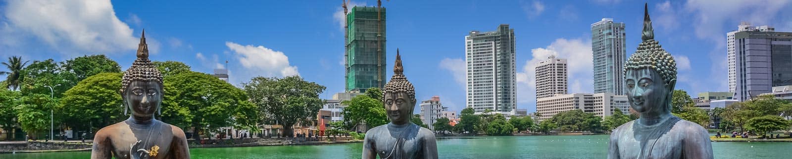 cruise ship tour packages from sri lanka