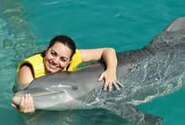 shore excursions in cozumel mexico