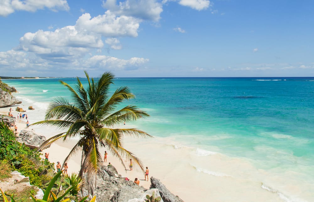 best beach excursions in cozumel