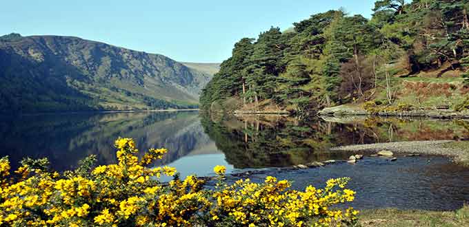  Dublin  Ireland  Irish  Countryside  Glendalough Excursion 