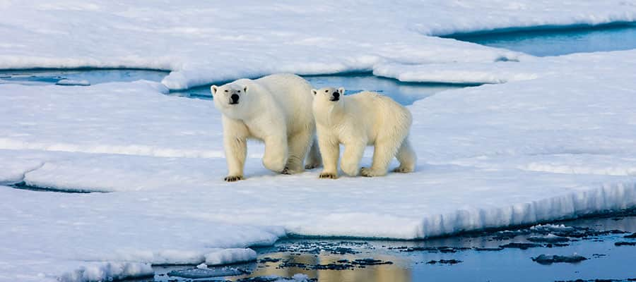 Cruises To Longyearbyen (Spitzbergen), Norway | Norwegian Cruise Line - NCL