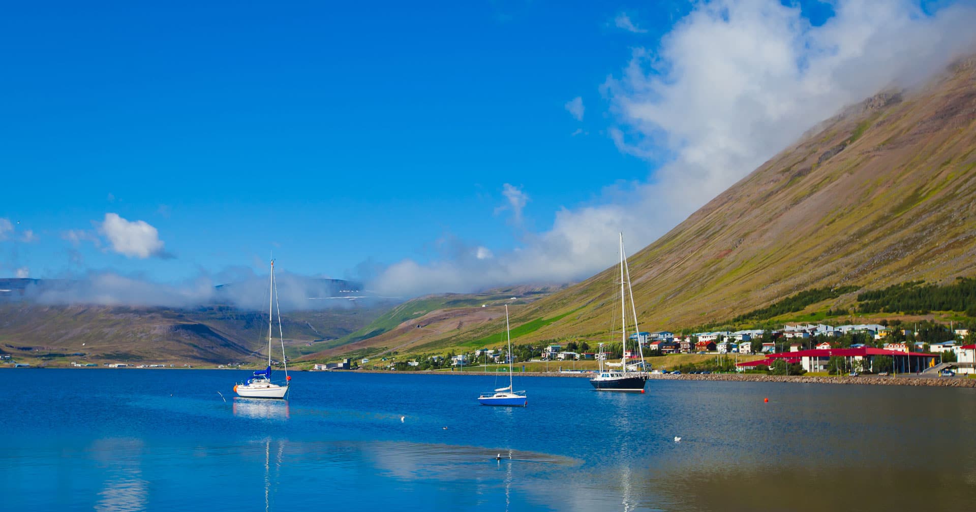 ncl shore excursions isafjordur