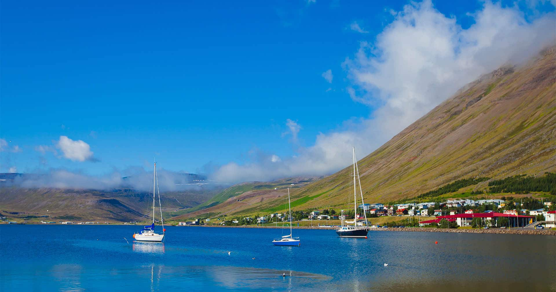 isafjordur excursions