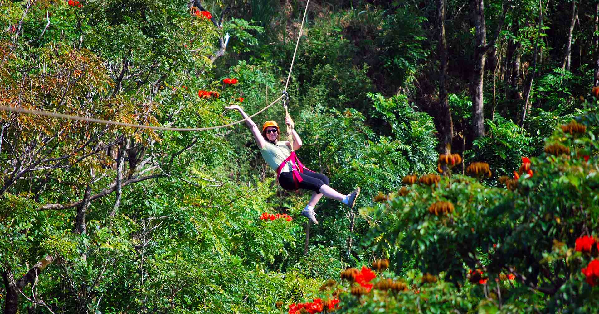rainforest zipline park tours