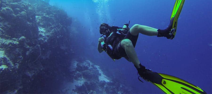 Dive below the legendary blue waters while in Bonaire