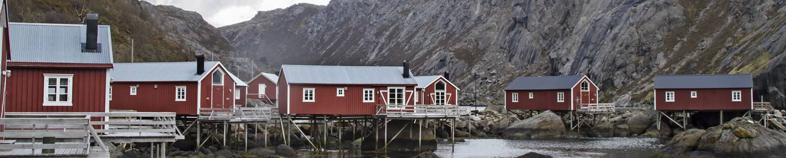 cruise to lofoten islands norway