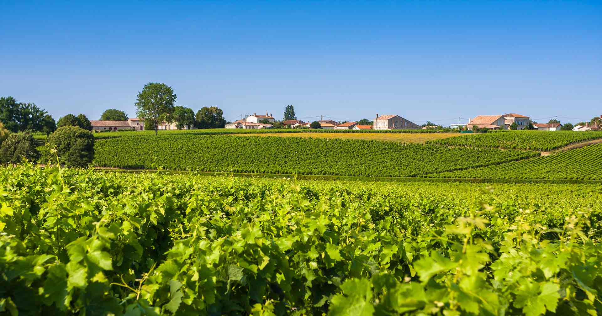 Bordeaux (Le Verdon), France Fort Medoc & Wine Tasting at Chateau ...