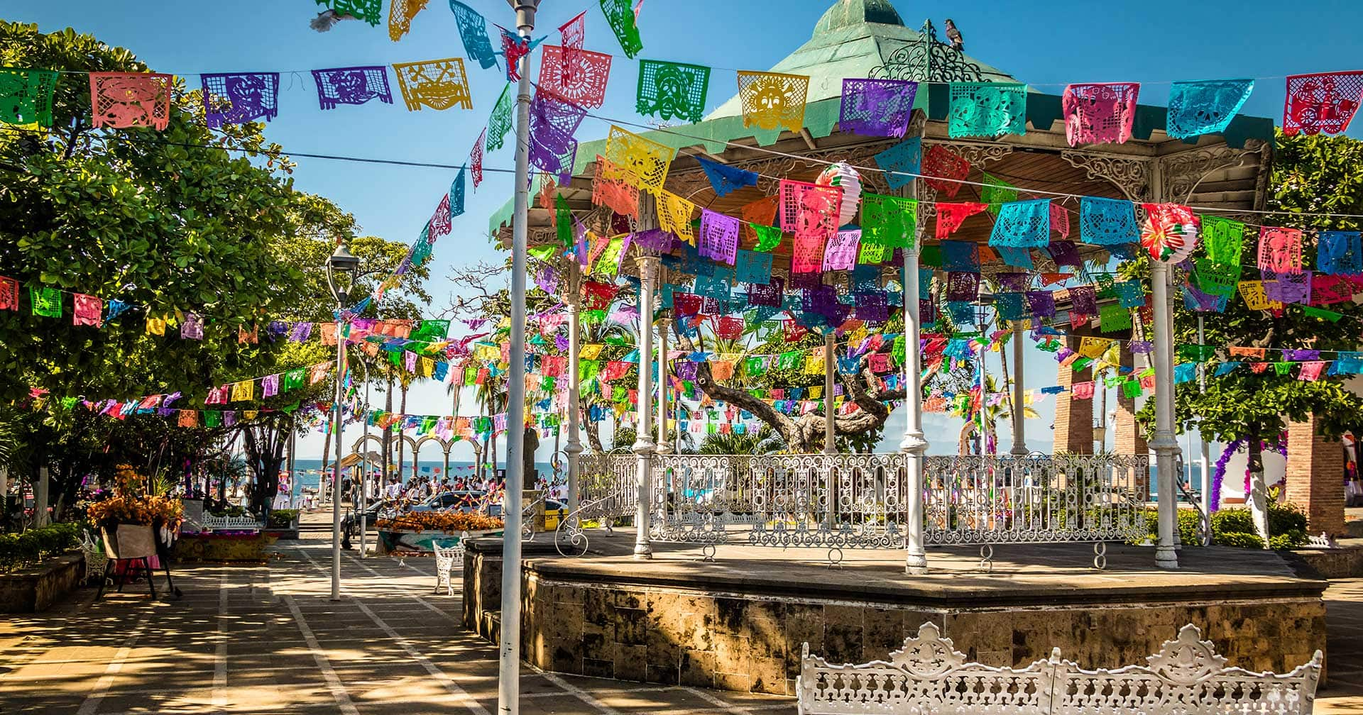 ncl shore excursions puerto vallarta