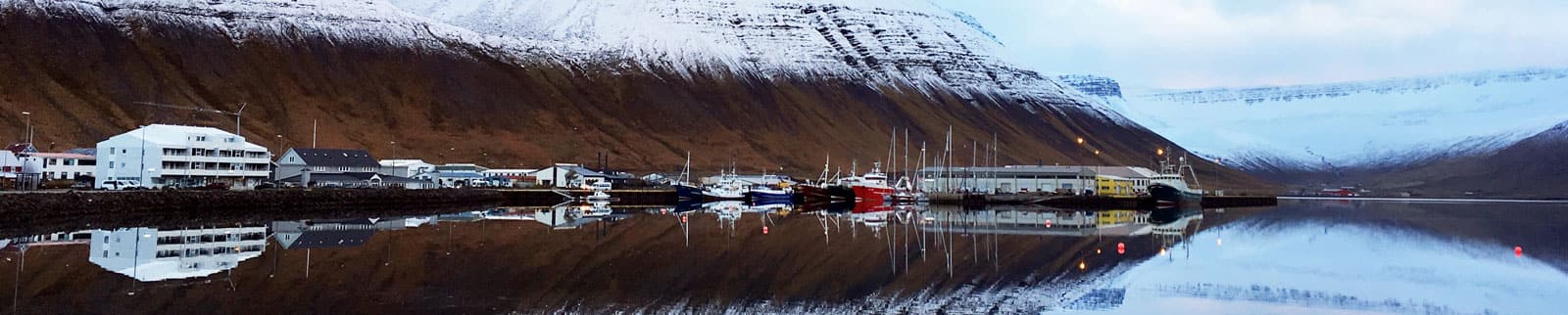 アイスランド、イーサフィヨルズル行きクルーズ | ノルウェージャン 