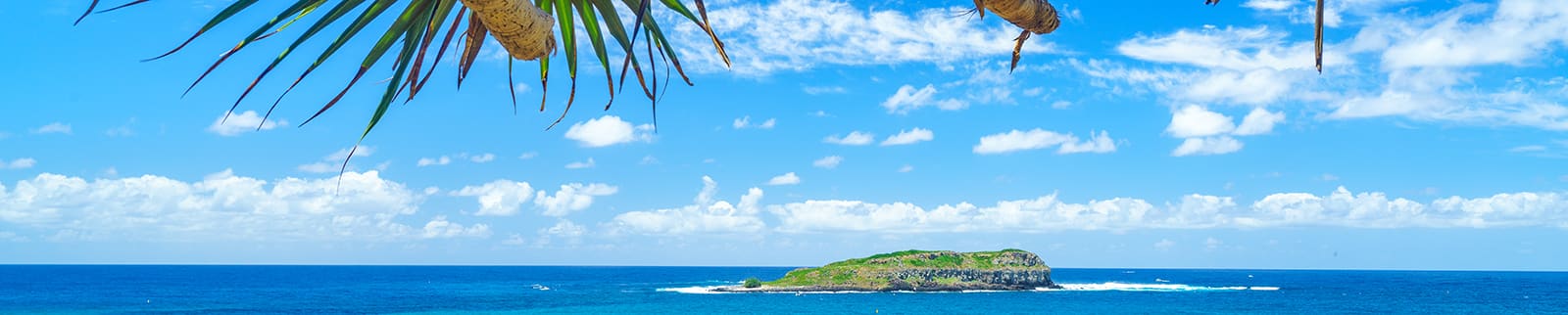 cruise cook islands