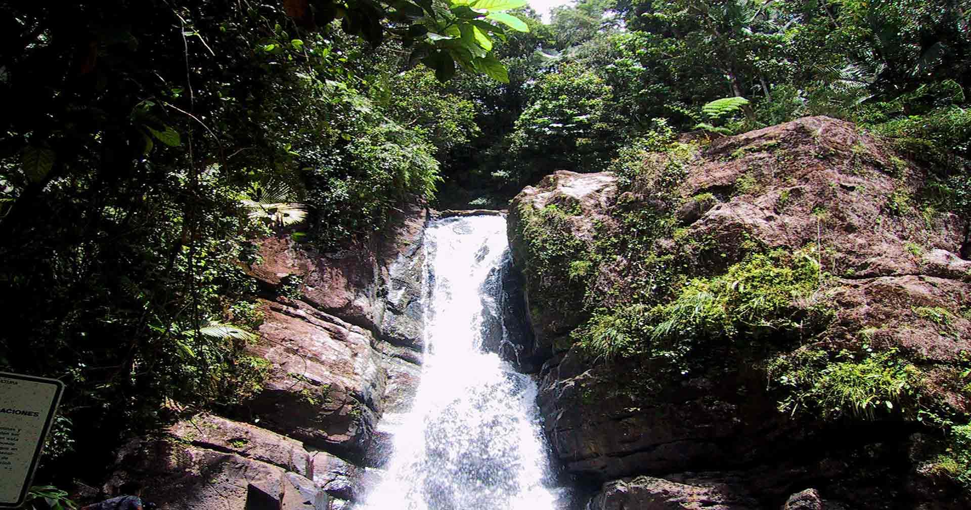 el yunque excursions from san juan