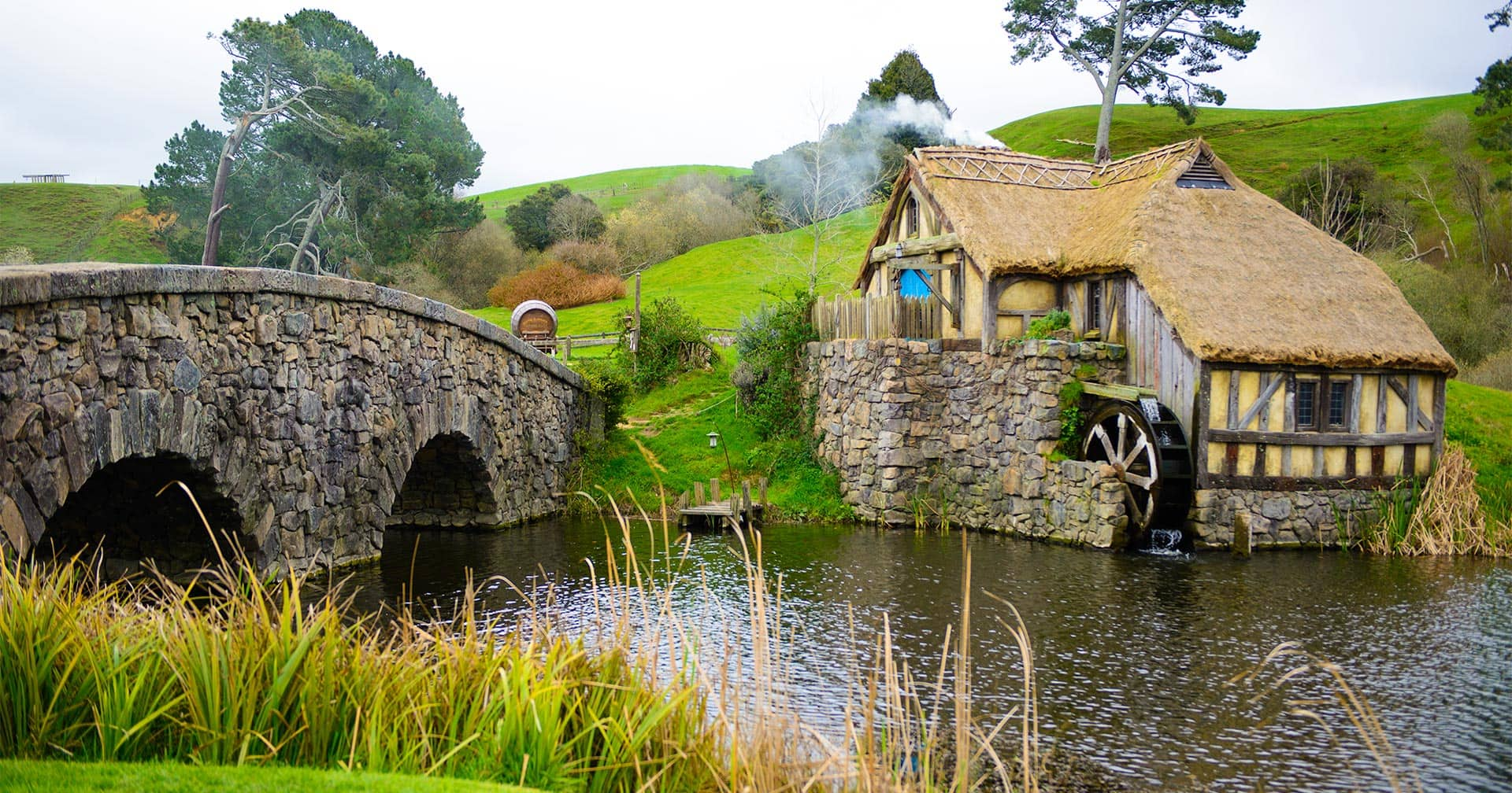 hobbiton movie set tour from tauranga