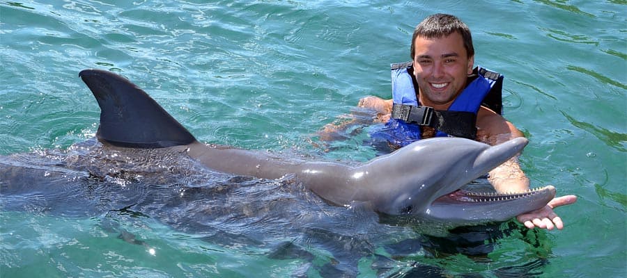 Dolphin Encounter on your Caribbean cruise