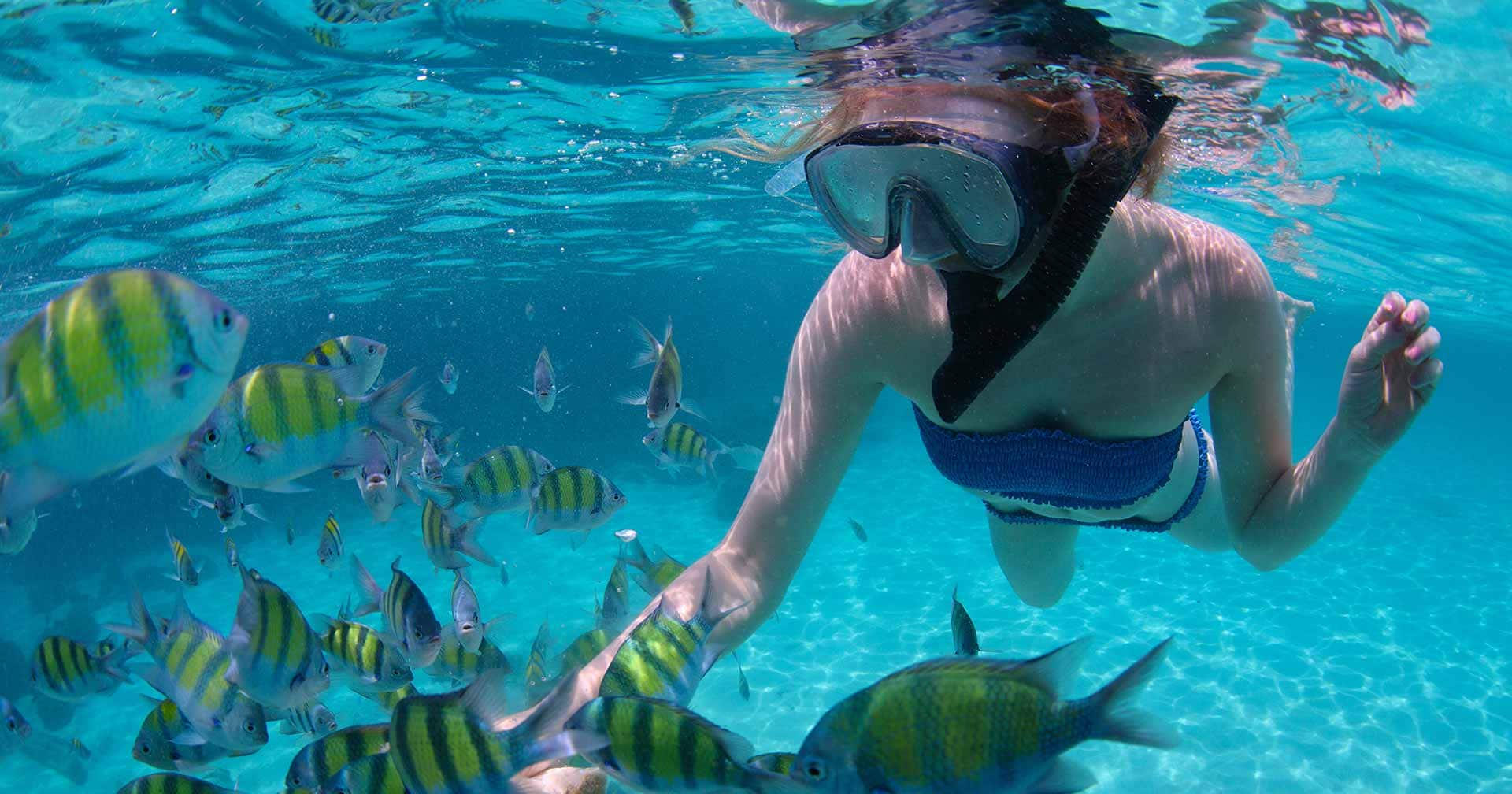 bermuda catamaran coral reef snorkel