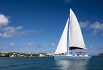 cruises to bermuda from tampa
