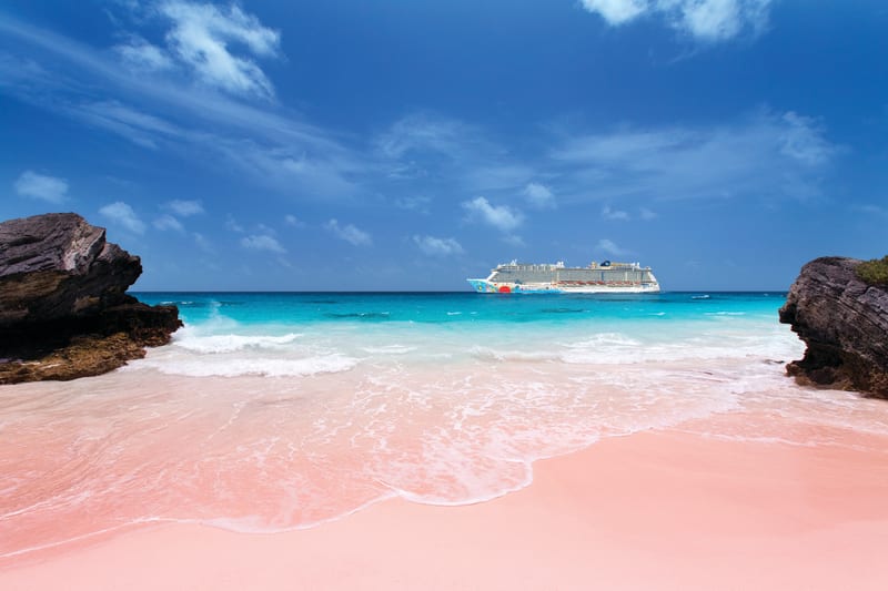 Bermuda Travel Deals  Pink sand beach bermuda, Pink sand beach, Bermuda  beaches